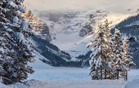 Wallpaper Winter Snow Trees Mountains Lake Ate Canada Albert Banff National Park Alberta Lake Louise Canada Rocky Mountains Banff National Park Rocky Mountains Lake Louise Images For Desktop Section Pejzazhi Download Official trail maps of the lake louise ski resort.