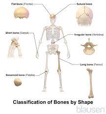 Pin On Health