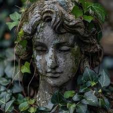 Forest Stone's Instagram, Twitter & Facebook