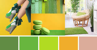 Top 5 Free Color Palette Generators To Make Color Selection A Breeze Color Palette Generator Green Colour Palette Orange Color Palettes