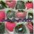 Chocolate Covered Strawberries Decorating Ideas
