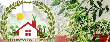 Qué huerto urbano hidropónico comprar. El Huerto En Tu Casa Com Videos Facebook