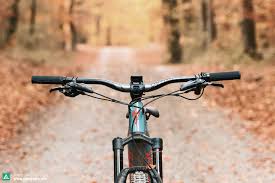 So Stellst Du Dein E Mountainbike Cockpit Perfekt Ein E Mountainbike Magazine