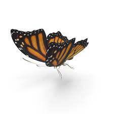 We offer you for free download top of monarch butterfly clipart pictures. Monarch Butterfly Png Images Psds For Download Pixelsquid S105732058