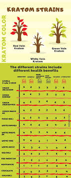 kratom strains chart for medicinal recreational purposes