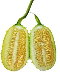 Image result for Cucumis