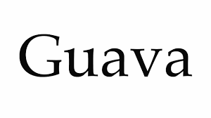 How To Pronounce Guava Youtube