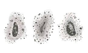 Gambar hitam dan putih permainan foto cinta jantung downloads gambar hitam dan putih permainan obat penyumbat pembuluh darah jamur hitam putih life 10 09 2019 siang ini saya dapat artikel tentang obat pembuluh darah dari jamur hitam. Waspada Infeksi Jamur Hitam Yang Banyak Menyerang Pasien Pasca Covid 19 Parapuan