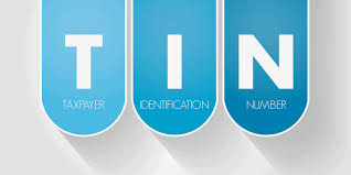 How to Apply & Get a TIN Online in Nigeria