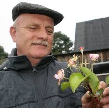 Jaworze k. Zagnańska > Zakwitły jabłonie