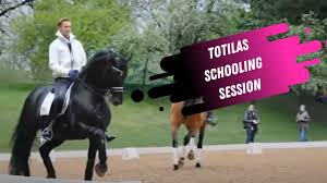 Facebook gives people the power to share and makes the world. Watch Edward Gal Totilas School For The Grand Prix Dressage Test Youtube