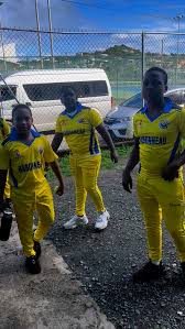 Cricket Saint Lucia