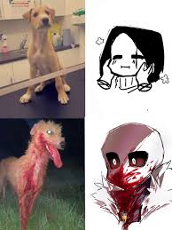 rainy (@vitbietdi)  X