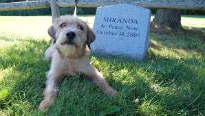 Explore other popular local services near you from over 7 million businesses with over 142 million reviews and opinions from yelpers. Rolling Meadows Pet Cemetery Nhspca