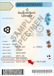 How do i register the birth of a child that is 1 year or older? Where Is My Status In Canada Document Number