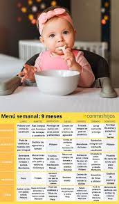 18 Ideas De Baby Papillas Para Bebes Alimentacion Bebe 9 Meses Horario De Alimentacion Del Bebe