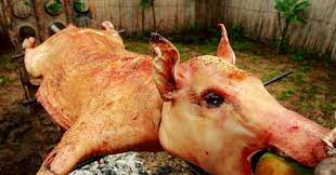 It is a good idea to pig purchase weight, lbs (141 days to show). Do Not Go Gently Into That Pig Roast Wired