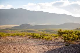 Check spelling or type a new query. Endodontist In El Paso Endodontic Office In El Paso Best Endodontist In El Paso