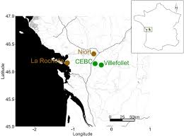 Chronique / pas question de gâcher votre plaisir en vous dévoilant la fin de plan b. Physiological And Morphological Correlates Of Blood Parasite Infection In Urban And Non Urban House Sparrow Populations