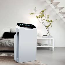 Spider plants, boston ferns and english ivy are fantastic air purifying house plants. China Cheap Price Smart Home Use Room Air Cleaner Hepa Negative Ion Natural Air Humidifier And Purifier China Mini Air Purifier With Humidifier And Ultra Violet Air Purifier Price