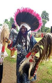 Image result for Bambekea