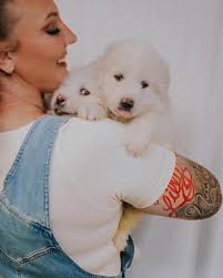 A very sad $5 Friday for us today. Unfortunately two of our puppies in care  are being rushed to the hospital. They've been vomiting, and during parvo  season- we assume the worst.