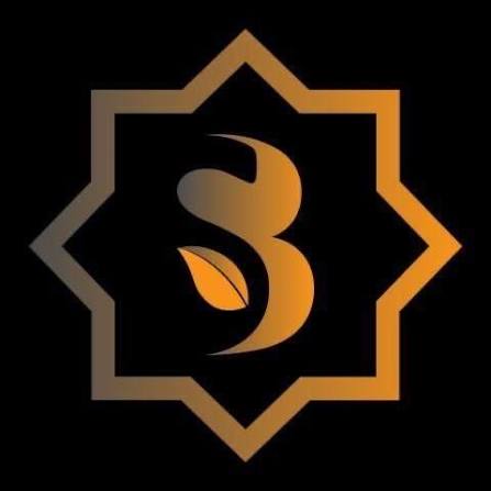 Sidra Chain Logo