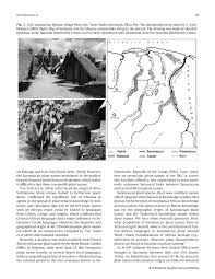 Image result for Solanecio cydoniifolius