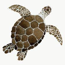 Watercolor Painted Sea Turtle Transparent Png Premium Image By Rawpixel Com Niwat Turtle Watercolor Sea Turtle Watercolor Sea Turtle Art