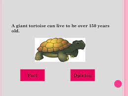It S A Fact That Everyone Has An Opinion Ppt Download