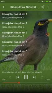 Mari simak info berikut mengenai macam. Suara Jalak Nias Gacor Offline For Android Apk Download