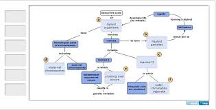 Chapter 27: The Reproductive System (Mastering) Flashcards Easy