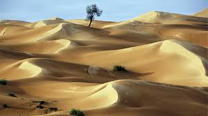 Draye released his first debut single 2017 titled (baby). Tunez