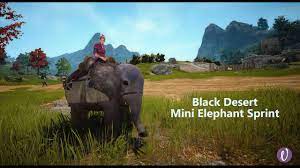 The camel archer doesn't need iron or horses (easier to build, but not stronger), and is more likely to withdraw before dying when on the attack. Black Desert Miniature Elephant With Quick Run Sprint Youtube