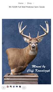 Advice from the experts!! I've been Racking my brain, trying to figure out  how to get this guy done and it actually look great but will also show off  his character! Any