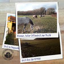 verwirkliche deinen traum vom eigenen pferdehof stalle stall frei pferdestalle