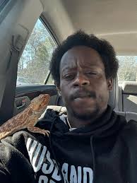 Taking Bearded Dragons to Pet Stores