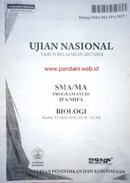 Pembahasan usbn matematika smp 2019 paket 02.pdf. Download Soal Un Biologi Sma Tahun 2018 Paket 2 Blog Pak Pandani