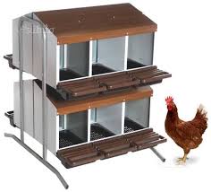 Zoopiro produce il nido per la raccolta delle uova per galline ovaiole. Nido A Batteria Con 12 Fori Per Galline Ovaiole Likesx Com Annunci Gratuiti Case