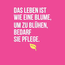 Das allein macht aber nicht glücklich. Top 75 Schone Spruche Uber Das Leben Mit Bilder Zitatelebenalle