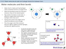 Worksheets are lesson 2 the science of water teacher materials, water wise work, physical and chemical changes work, properties of water what makes water special, the properties of water work, answers to work, physical science work answer key, 05 chem grsw. Bioknowledgy 2 2 Water