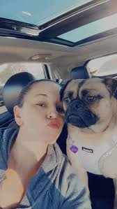 How does your pug try to sweet talk you?