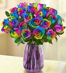 Send flowers online or balloons today by placing the online order prior to 3pm in the delivery zip code. Rainbow Roses 24 Stems In Brooklyn Ny Flowers By Emil