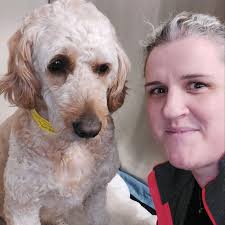 Rudy is here to remind us all of the importance of using a monthly flea and  tick preventative! This 3-year-old goldendoodle presented to our Emergency  Service last month with a fever of