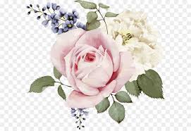 Rose Painting Stock Illustration Flower Pink Rose And White Rose Watercolor Hand Painted Flowers Watercolor Rose Hand Painted Flowers Flowers