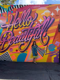 Wynwood Walls Art District Miami Wynwood Walls Art District Wynwood Walls Photoshoot