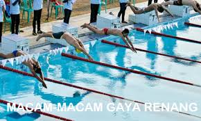 5 Macam Gaya Dalam Olahraga Renang Kolam Olahraga Sungai