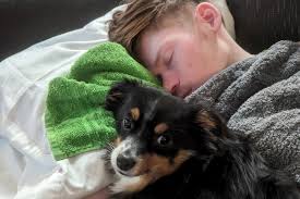 Fundraiser by Bridget O'Donnell : Murphy is PAWesome