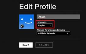 كيفية تغيير إعدادات لغة Netflix خالية من المتاعب