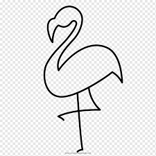Schnabel Flamingos Malbuch Ausmalbild Vogel Zeichnen Tier Tiere Bereich Png Pngwing